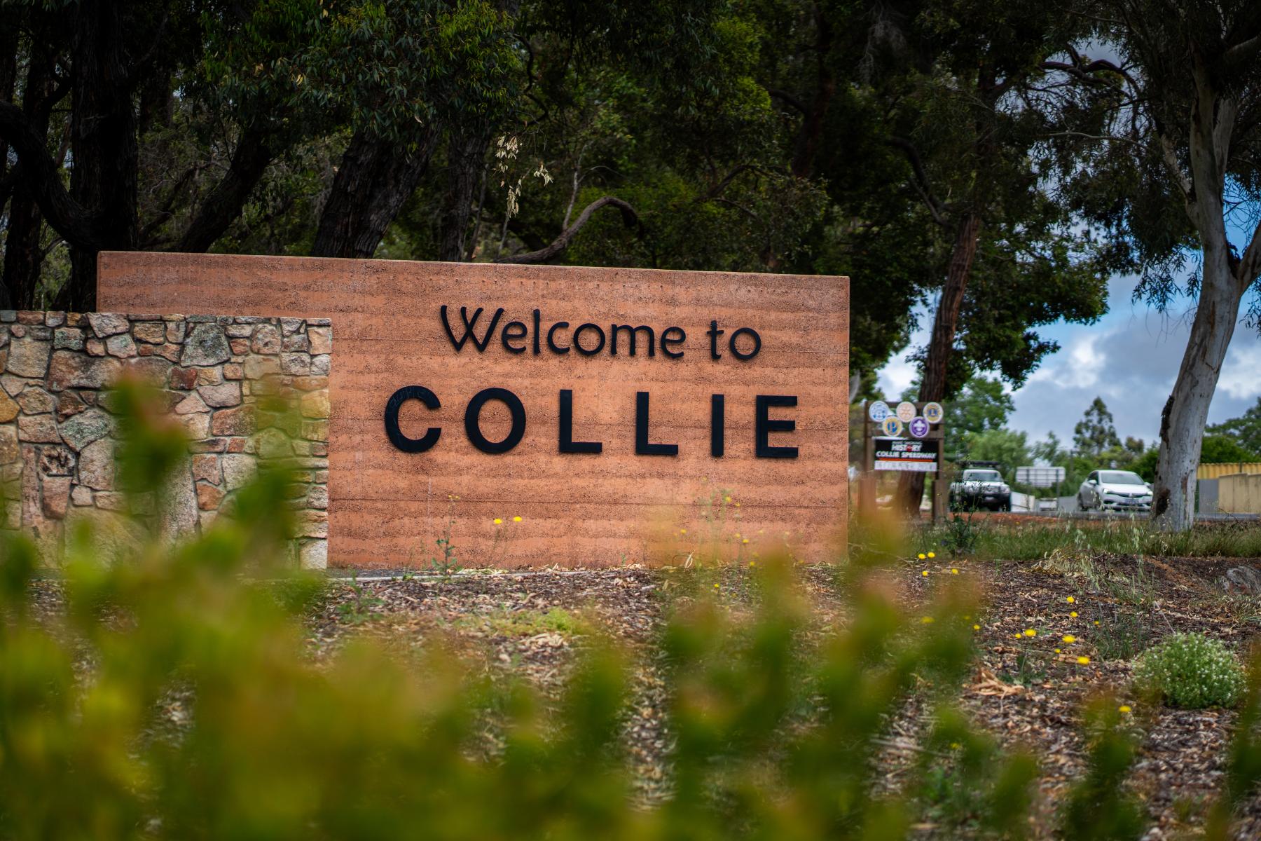 Collie on signage surrounded by trees  