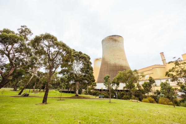 Smoke stacks from power station in a parkland setting
