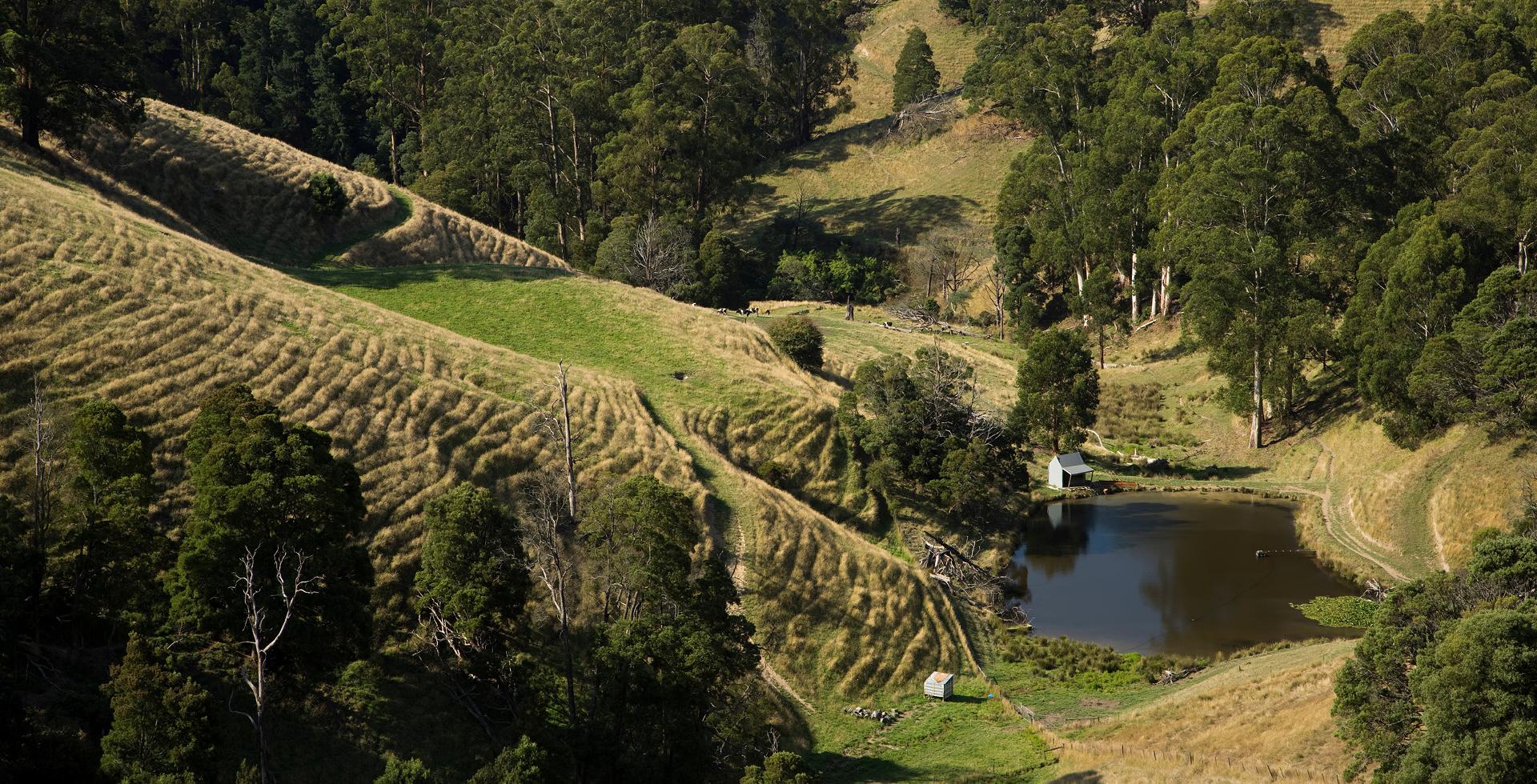 Farm, Latrobe Valley, Victoria